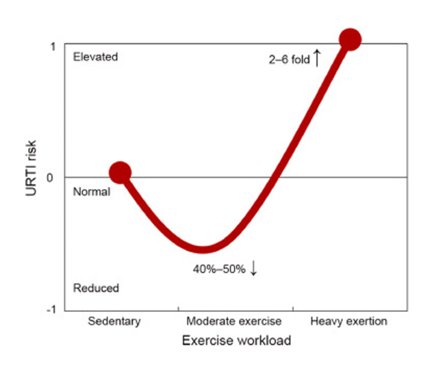 Wpływ intensywności ćwiczeń fizycznych na układ odpornościowy